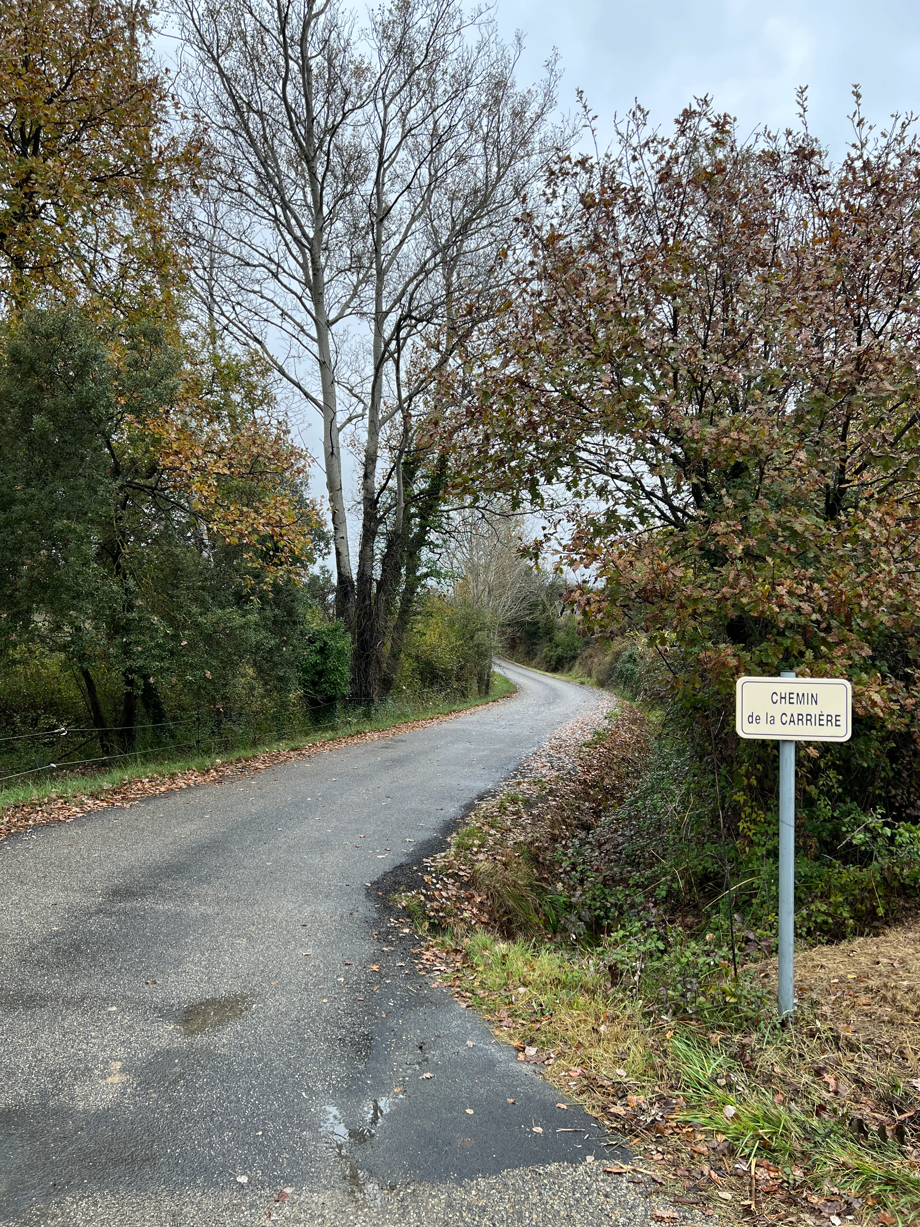 Chemin de la Carrière