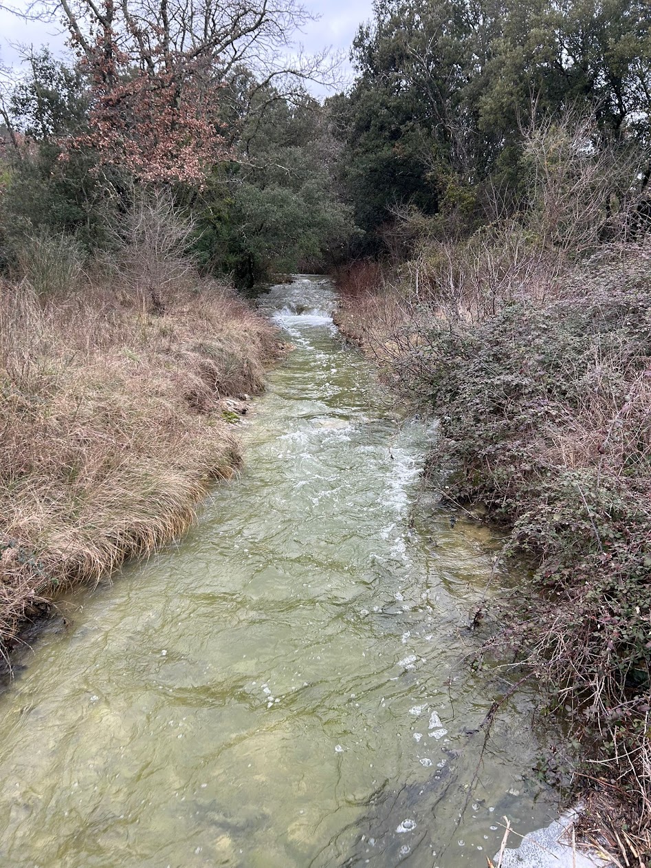 Paysage de garrigue autour de Belvézet